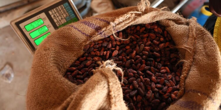 Easter chocolate, other candy expensive despite drop in cocoa prices