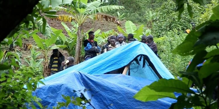 Landslides triggered by heavy rainfall kill at least 20 people in Tanzania