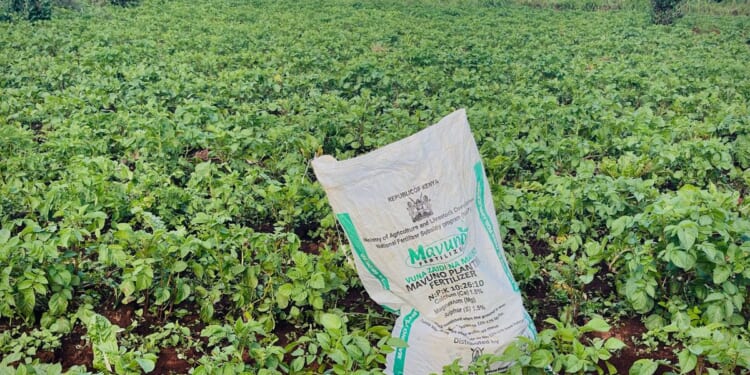 The war in Iran sparks a global fertilizer shortage and threatens food prices