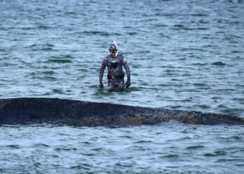 A whale stranded at a Baltic Sea resort has swum off a sandbank. But it isn’t safe yet