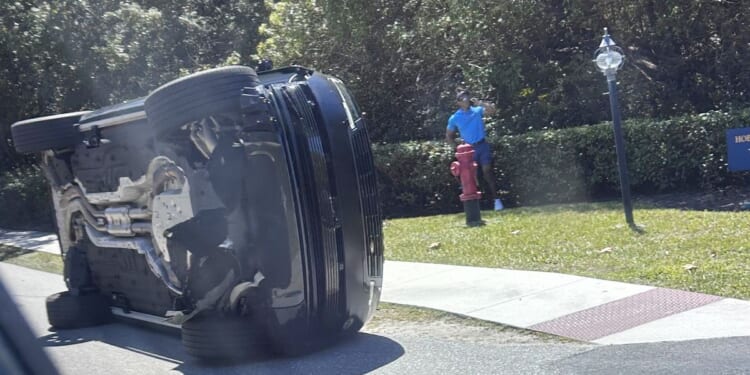 Tiger Woods released on bail hours after arrest at crash scene on suspicion of DUI