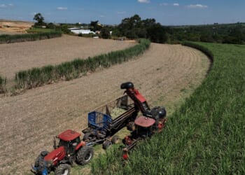 Brazil is uniquely positioned to weather rising world oil prices. Here is why