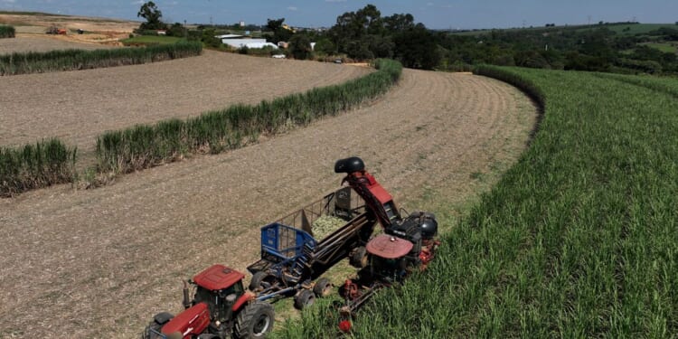 Brazil is uniquely positioned to weather rising world oil prices. Here is why