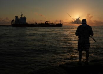 Trump officials exempt oil and gas drilling in the Gulf from endangered species rules