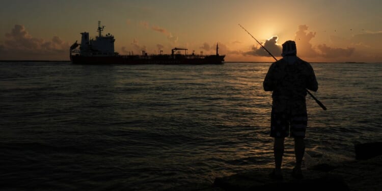 Trump officials exempt oil and gas drilling in the Gulf from endangered species rules