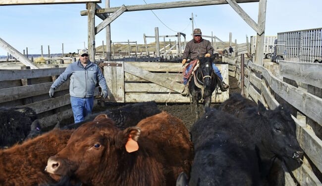 A Massive Meatpacking Strike Arrives at the Worst Possible Time for Beef Prices – PJ Media