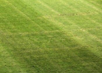 Asking the Big Questions, Exposing the Left – PJ Media