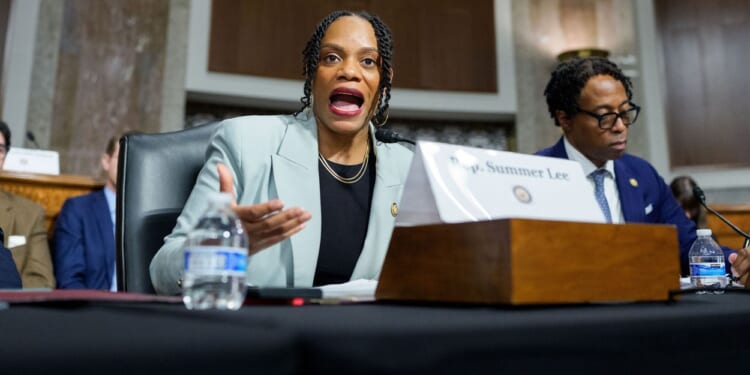 Democrats Say Chinese Spying a 'Xenophobic Conspiracy Theory'