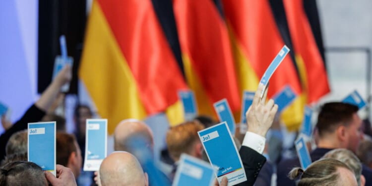 Delegates hold a voting card at the AfD Saxony-Anhalt state party congress on April 11, 2026, in Magdeburg, Germany.