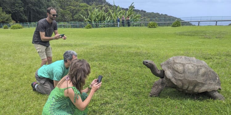 Jonathan, the 193-year-old Seychelles giant tortoise, is alive and kicking, contrary to rumors