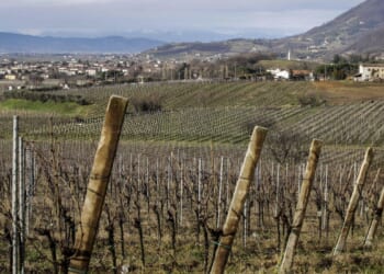 Americans eye Italy retirement as savings concerns mount, report finds