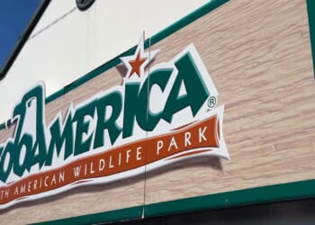 Parents facing charges after toddler injured by wolf at zoo in Hershey, Pennsylvania