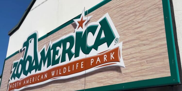 Parents facing charges after toddler injured by wolf at zoo in Hershey, Pennsylvania