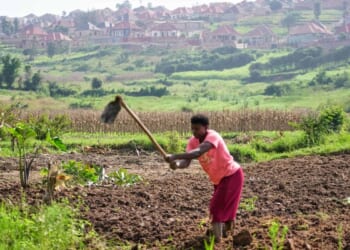 Rwanda tries to protect farmland in Africa’s most densely populated nation