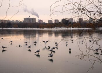 Romanian mayor unveils plan to name park after Trump