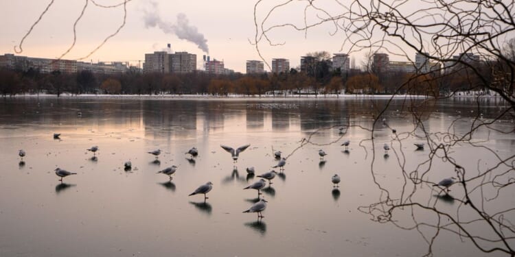 Romanian mayor unveils plan to name park after Trump