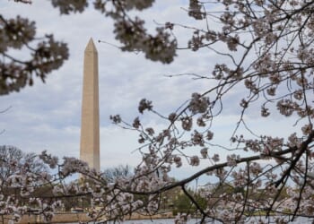 Things to do in and around Washington, D.C. this weekend: April 10-12