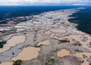 Peru election highlights lack of plans to tackle illegal mining despite growing environmental crisis