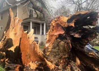 Thunderstorms rip across Michigan and damage 2 ice arenas, other structures