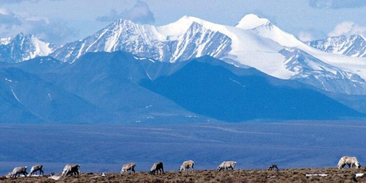 Oil lease sale for Alaska wildlife refuge set for this summer