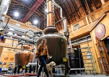 Women take the lead in whiskey as more female drinkers and distillers change the industry