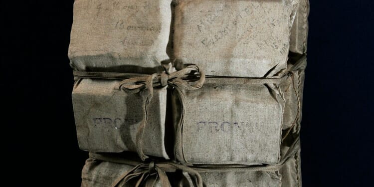 Life jacket worn by a passenger who survived the Titanic auctioned off for over $900,000