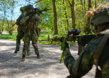 Royals boost Dutch military volunteers as Europe looks to ramp up troop numbers