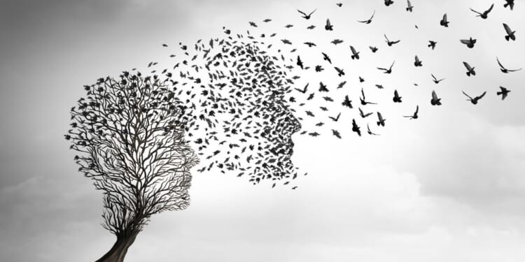 There is absolutely nothing preventing each of us from beginning to sow those little seeds that will grow and be harvested as peace and comfort after we're long gone.