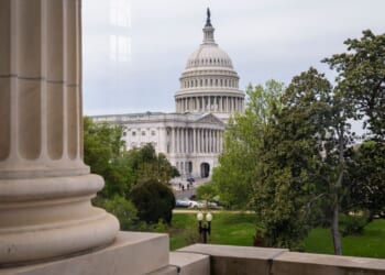 No law currently prevents Congress members from having dual citizenship