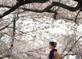 When Language Barriers Disappear – PJ Media