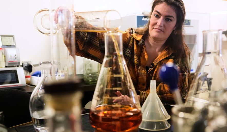 Meghan Ireland, the chief blender at the WhistlePig whisky distillery, pours a sample into a beaker in the lab Monday, April 6, 2026, in Shoreham, Vermont. (AP Photo/Robert F. Bukaty)