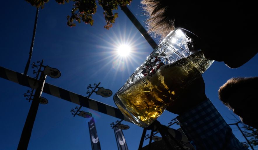 A young man drinks beer as he erects a traditional May pole in Kuehbach, Germany, Friday, May 1, 2026. (AP Photo/Matthias Schrader)