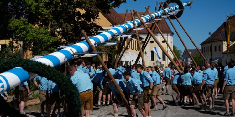 Beer, music and shouts of ‘Hau-Ruck’ as a Bavarian village raises its new maypole