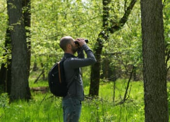 A Serbian bird-watching group uses crowdfunding to buy and preserve a woodland habitat