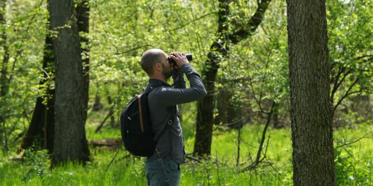 A Serbian bird-watching group uses crowdfunding to buy and preserve a woodland habitat