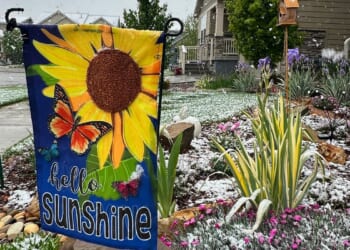 Spring plans meet snow in Denver as a late storm could be the season’s biggest