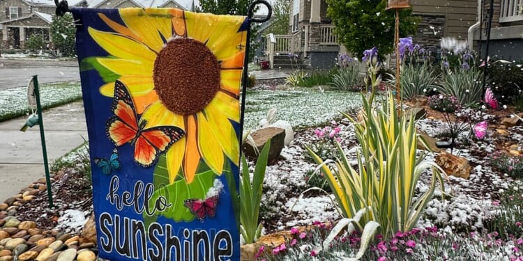 Spring plans meet snow in Denver as a late storm could be the season’s biggest