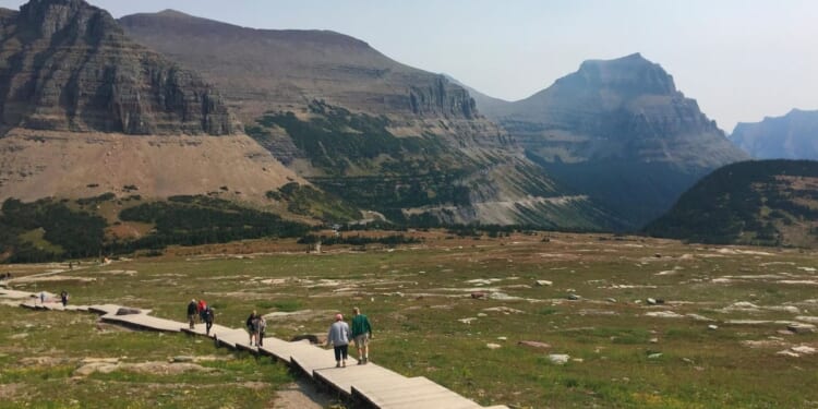 Hiker found dead in Montana’s Glacier National Park from suspected bear attack