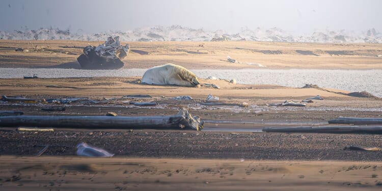 Alaskan town enters ‘midnight sun’ season with no sunset for months