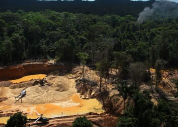 Indigenous Amazon groups urge the U.N. to curb organized crime, not militarize territories
