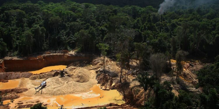 Indigenous Amazon groups urge the U.N. to curb organized crime, not militarize territories