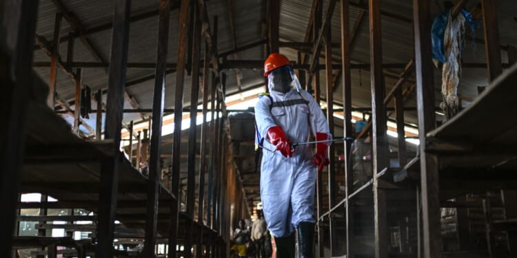 A second Ebola treatment center is set ablaze in eastern Congo, with 18 suspected cases fleeing