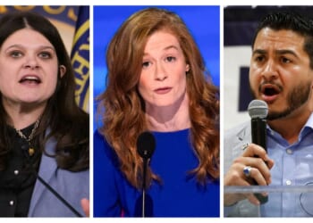 Michigan Democrats get a chance to make their case for the Senate and their party’s future