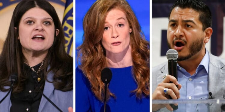 Michigan Democrats get a chance to make their case for the Senate and their party’s future
