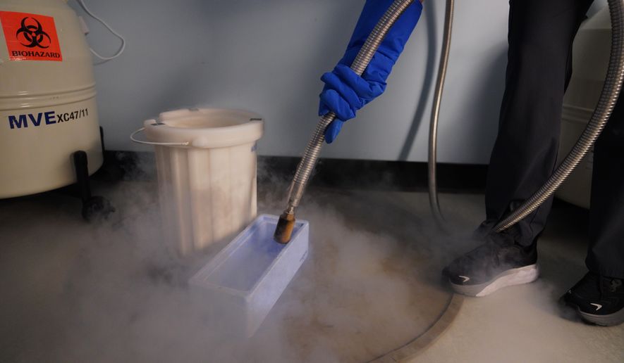 Sarah Atkinson, senior embryologist and lab supervisor at Rejoice Fertility, fills a container with liquid nitrogen while preparing for an embryo transfer, Jan. 11, 2026, at Rejoice Fertility in Knoxville, Tenn. (AP Photo/Jessie Wardarski)