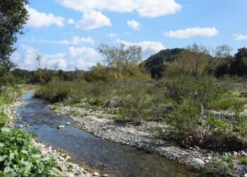 San Juan Creek in Caspers Wilderness Park in southern California.