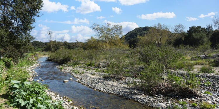 San Juan Creek in Caspers Wilderness Park in southern California.
