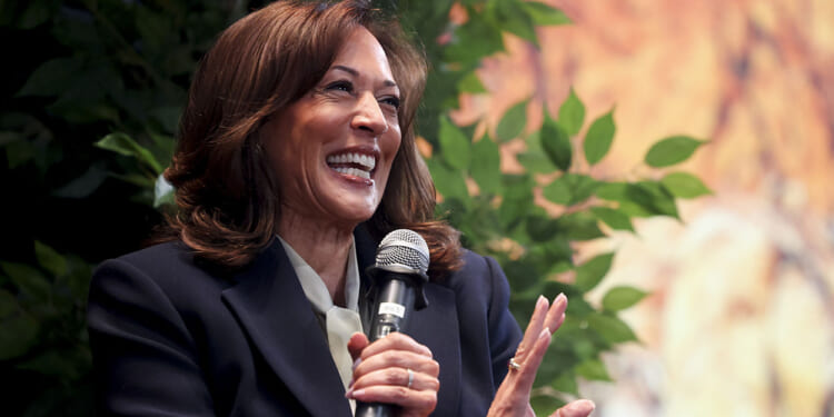 Democrats' 2024 autopsy papers over the party's central problem: America's just not into "woke."