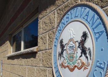 Pennsylvanian electrocuted while trying to strip wiring from power line