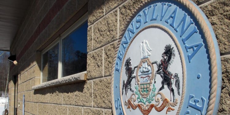 Pennsylvanian electrocuted while trying to strip wiring from power line